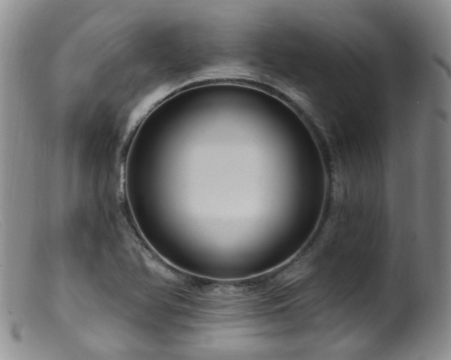 X0000099481366200805161125