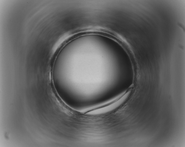 X0000099481368200805161125