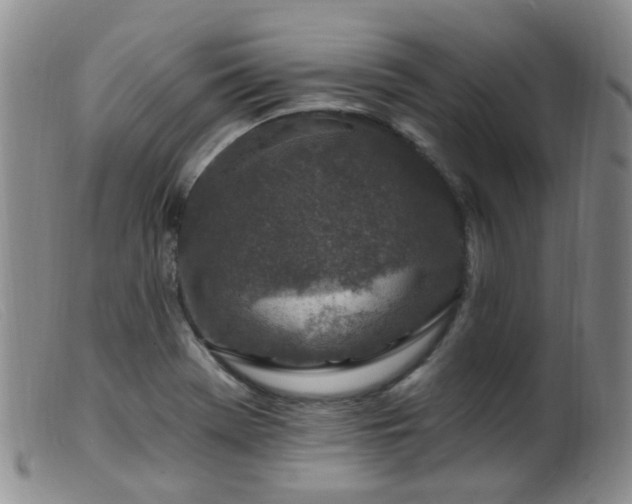 X0000099481369200805161125