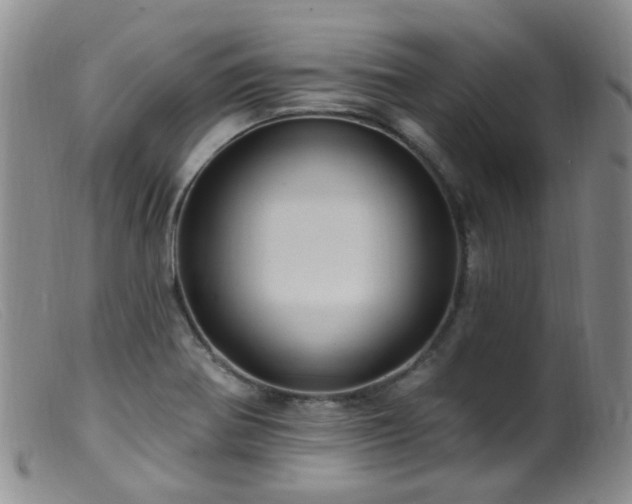 X0000099481370200805161125