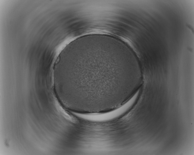 X0000099481371200805161125