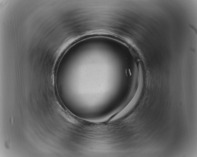 X0000099481372200805161125