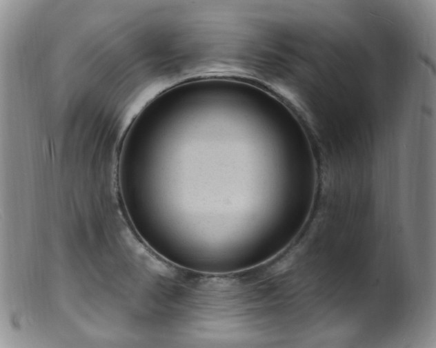 X0000099481374200805161125
