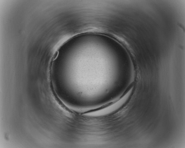 X0000099481375200805161125
