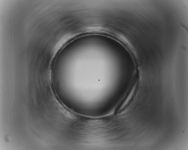 X0000099481376200805161124