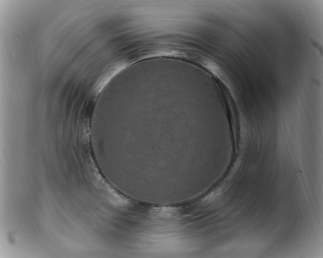 X0000099481377200805161124
