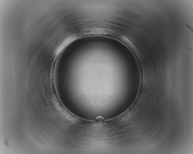 X0000099481378200805161124