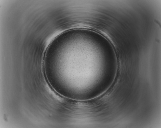 X0000099481379200805161124