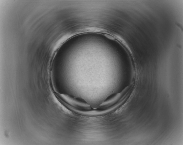 X0000099481381200805161124