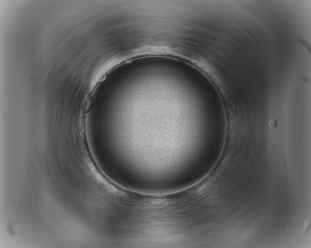 X0000099481382200805161124