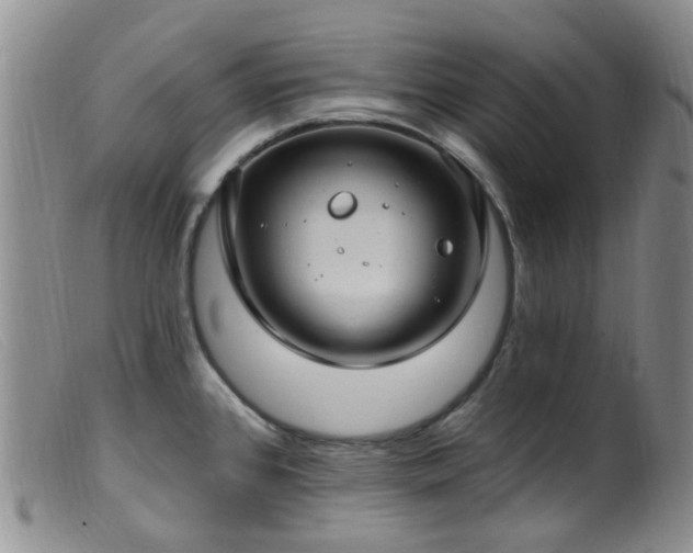 X0000099481384200805161124