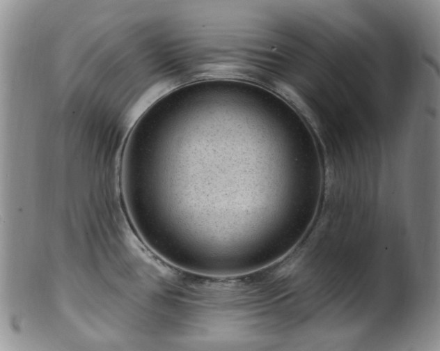 X0000099481386200805161124