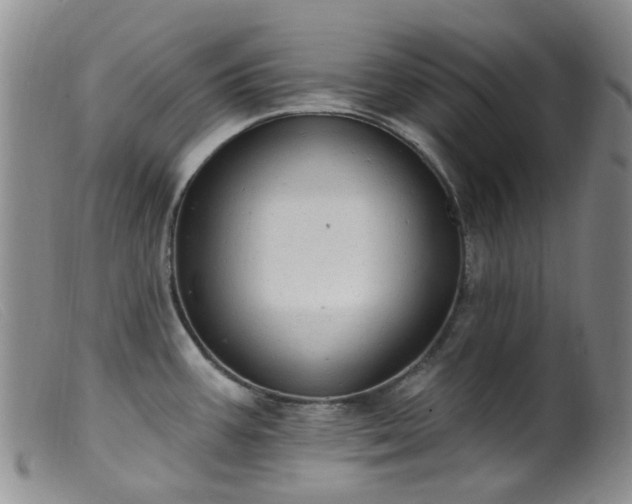X0000099481387200805161124