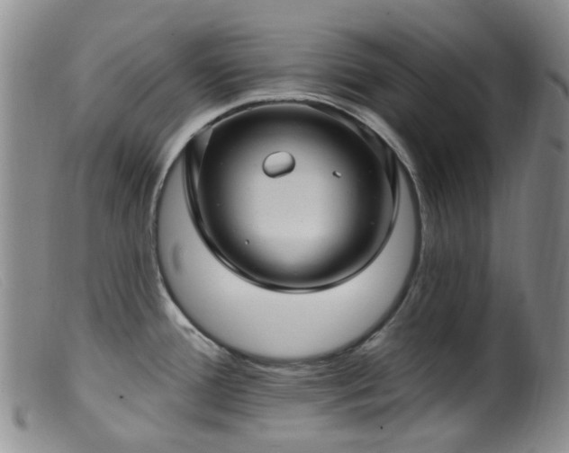 X0000099481388200805161124