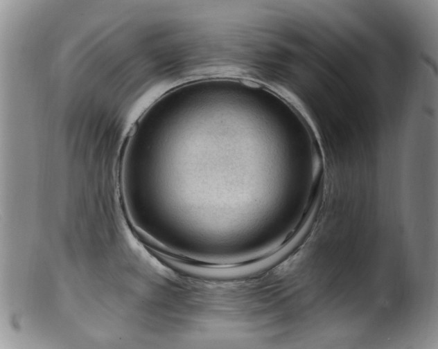 X0000099481389200805161124