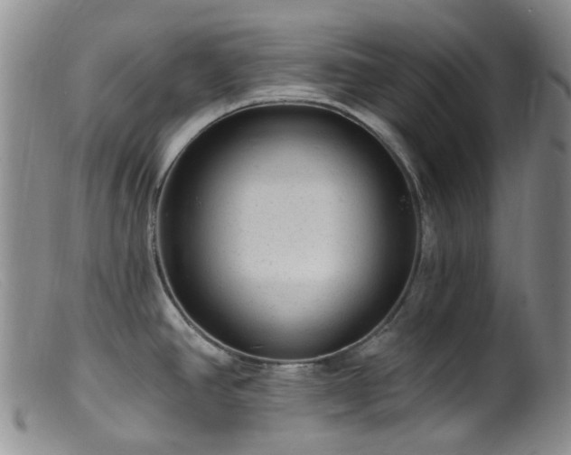X0000099481390200805161124