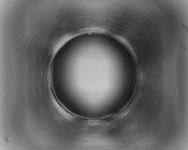 X0000099481391200805161124