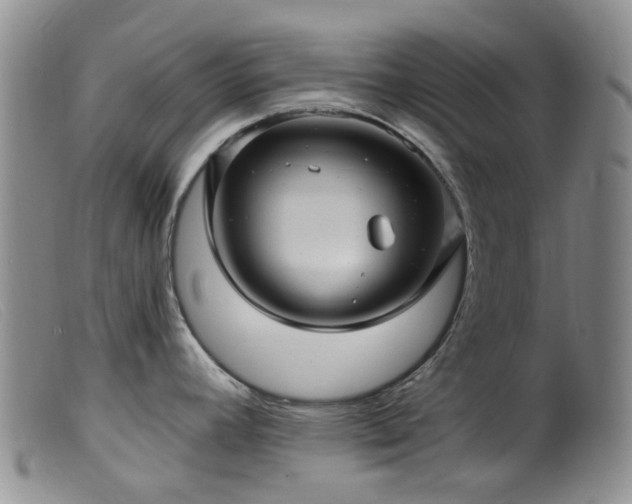X0000099481392200805161124