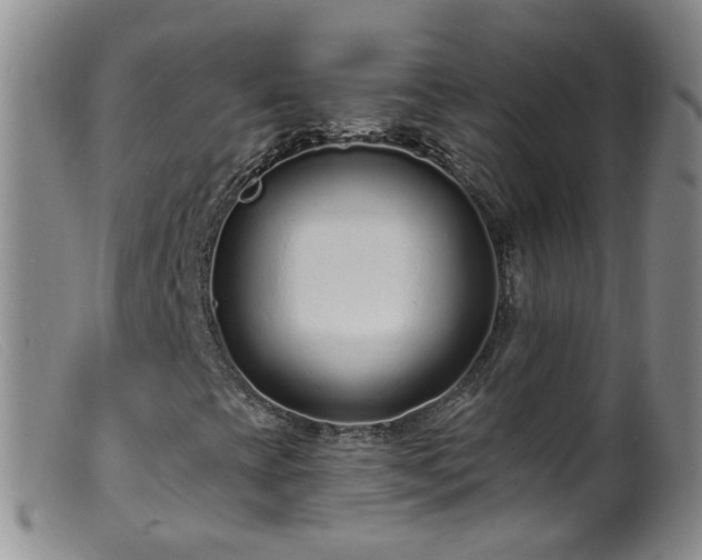 X0000099481393200805161123