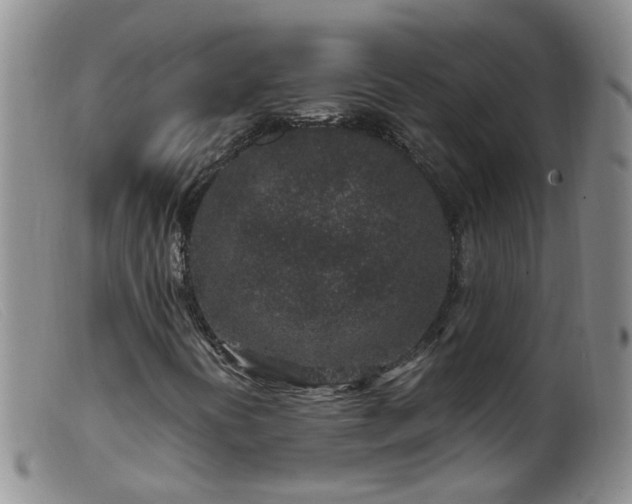 X0000099481394200805161123