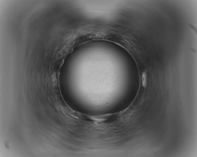 X0000099481395200805161123
