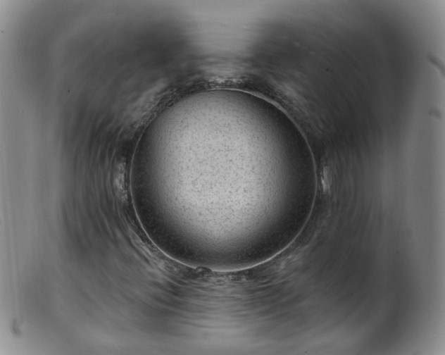 X0000099481396200805161123