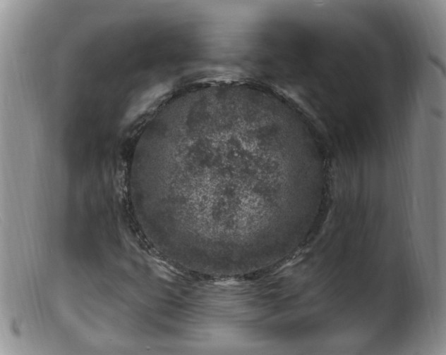 X0000099481399200805161123