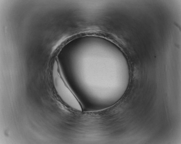 X0000099481400200805161123