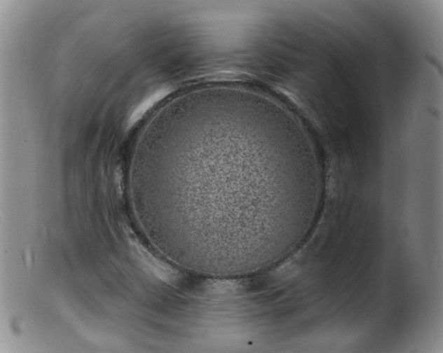 X0000099481402200805161123