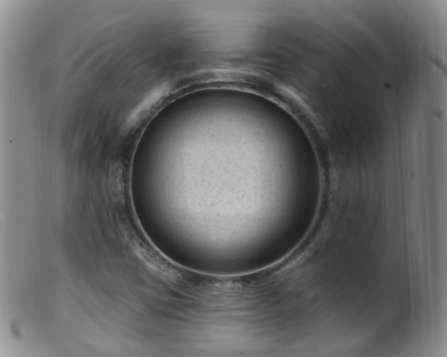 X0000099481403200805161124