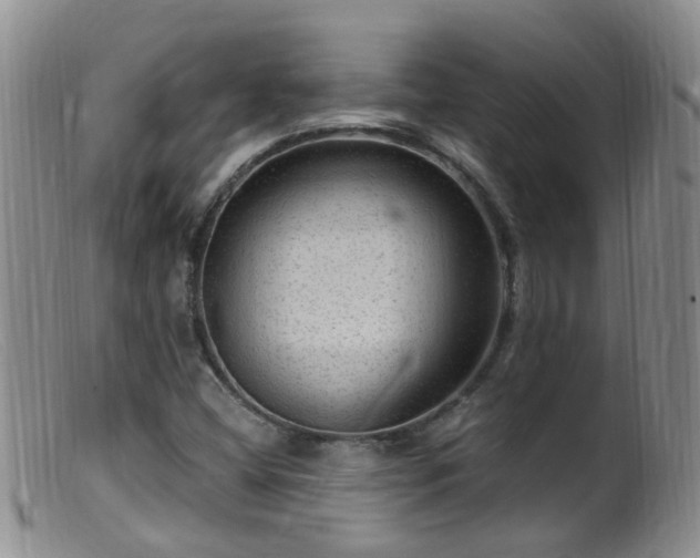 X0000099481404200805161124