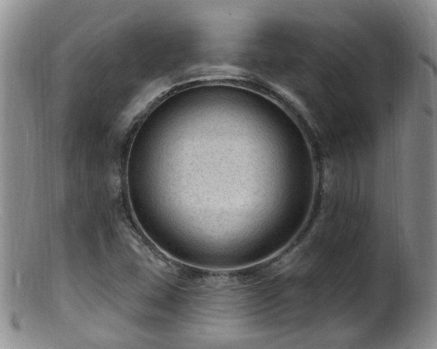 X0000099481407200805161124