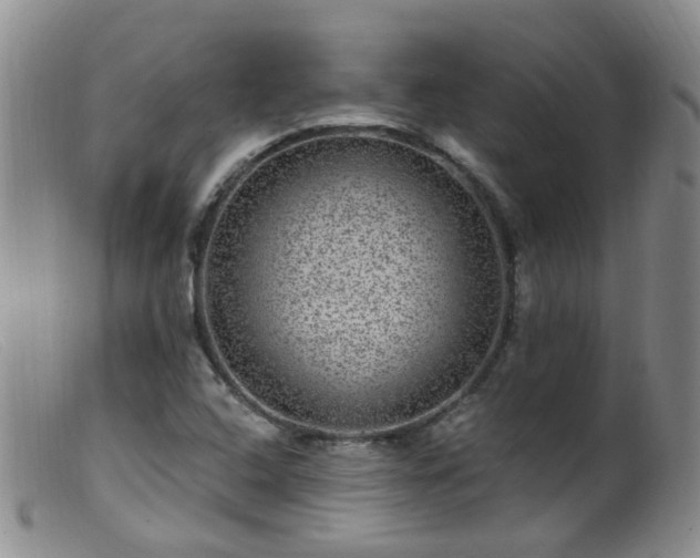 X0000099481408200805161124
