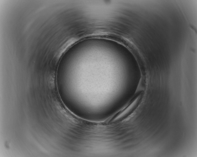 X0000099481409200805161124
