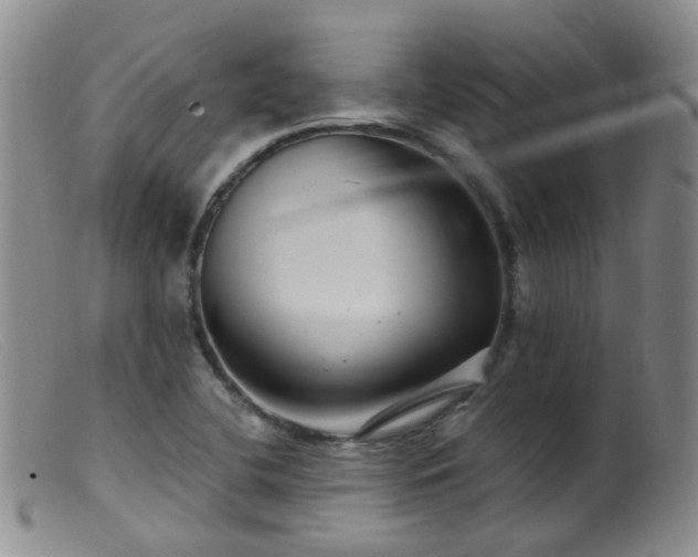 X0000099481412200805161124
