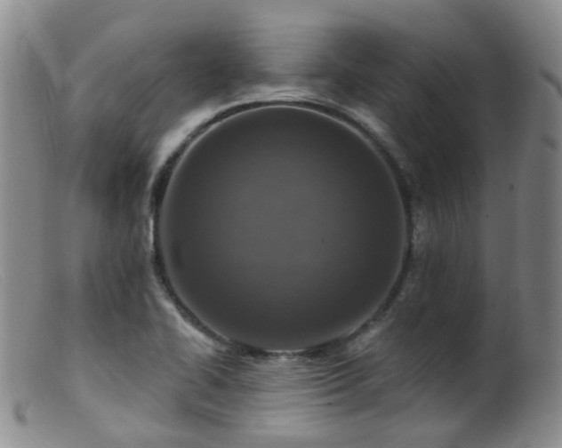 X0000099481414200805161124