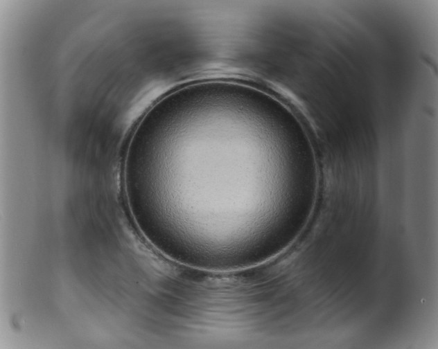 X0000099481415200805161124