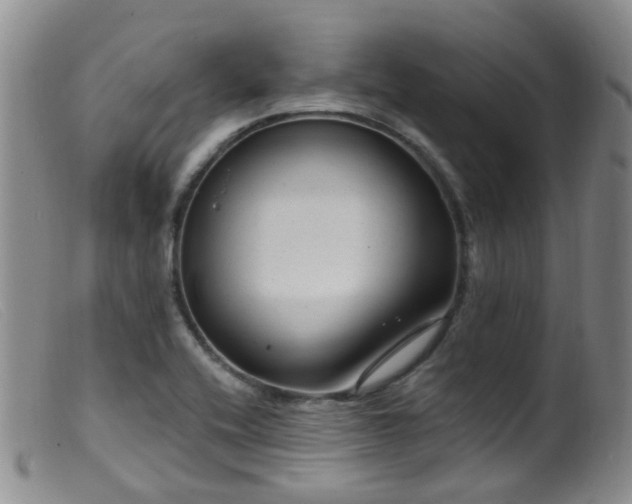 X0000099481416200805161124