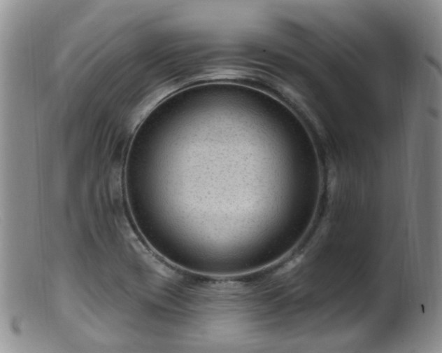 X0000099481417200805161124