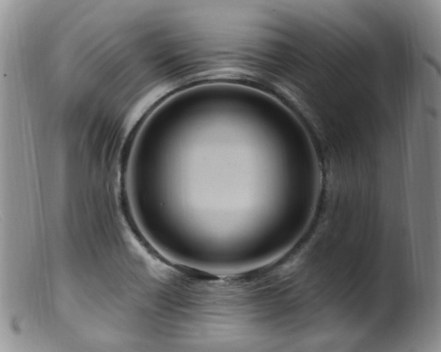 X0000099481418200805161124