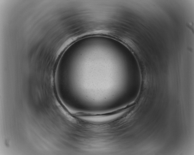 X0000099481420200805161124