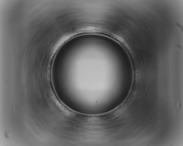 X0000099481421200805161124