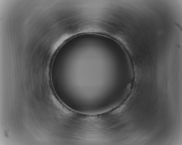 X0000099481422200805161124