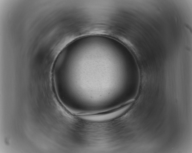 X0000099481423200805161124