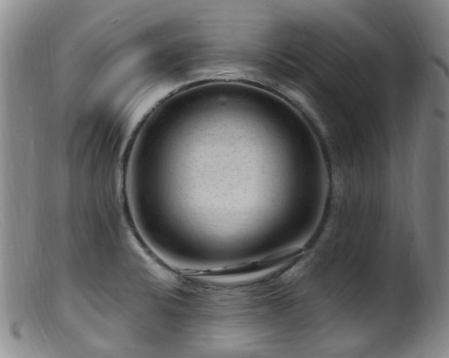 X0000099481424200805161124