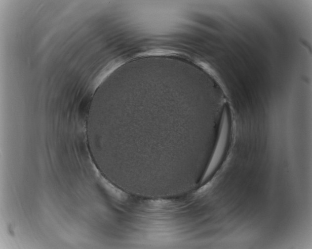 X0000099481425200805161124