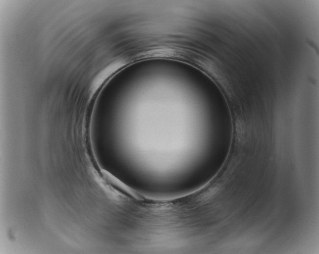X0000099481426200805161124
