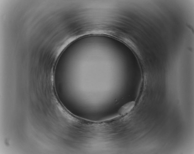 X0000099481428200805161124