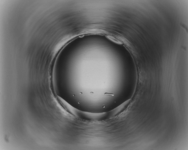 X0000099481430200805161124