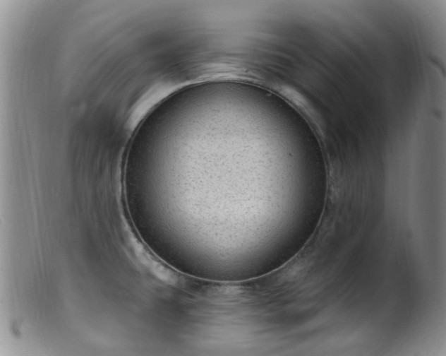 X0000099481431200805161124